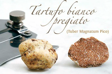 Delizie al TARTUFO BIANCO